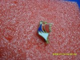 insigna Fed. Franceza Fotbal