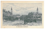 2681 - ORADEA, Market, Litho - old postcard - unused, Necirculata, Printata