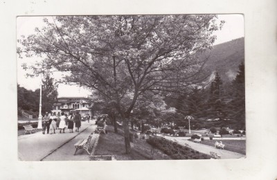 bnk cp Slanic Moldova - Vedere - circulata foto