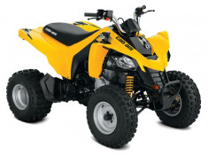 Can-Am DS 250 &amp;#039;18 foto