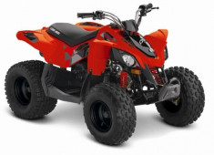 Can-Am DS 90 &amp;#039;18 foto