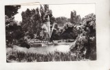 bnk cp Bucuresti - Gradina Cismigiu - circulata