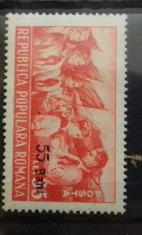 Romania 1952 l.p 312 pionerii supratipar mnh foto