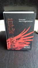 FURIA ROSIE - PIERCE BROWN foto