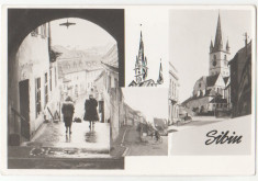 Sibiu 1958 - mozaic foto