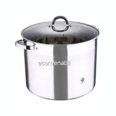 Oala inox cu capac de Sticla Termorezistenta 20L Renberg RB2264 foto