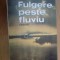 b1d Corneliu Ifrim - Fulgere peste fluviu