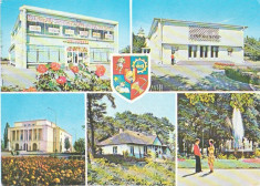 Judetul Botosani 1979 - mozaic foto