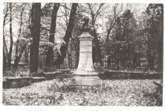 Botosani 1962 - parcul Eminescu foto