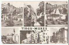 Targu Mures 1965 - mozaic foto