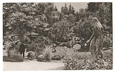 Cluj Napoca 1965 - gradina botanica foto