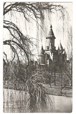 Timisoara 1965 - Catedrala foto