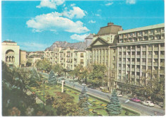 Timisoara 1974 - bvd 30 Decembrie foto