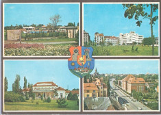 Timisoara 1979 - mozaic foto