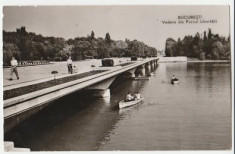 Bucuresti 1963 - Parcul Libertatii foto