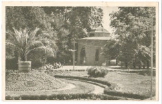 Buzias 1955 - in parc foto