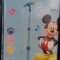 Microfon Mickey Mouse cu MP3