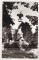 Foto  - 1