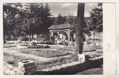 bnk cp Izvorul Muresului - Vedere- necirculata foto