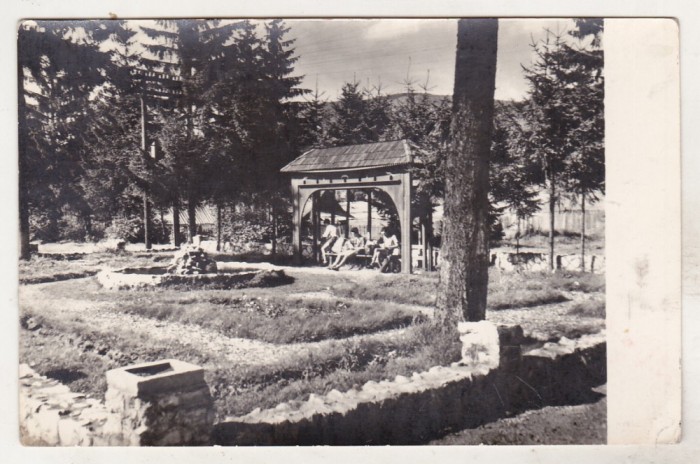 bnk cp Izvorul Muresului - Vedere- necirculata