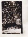 bnk cp Caciulata - Vedere din parc - uzata
