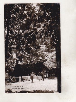 bnk cp Caciulata - Vedere din parc - uzata foto