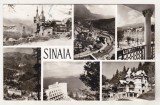 Bnk cp Sinaia - Vedere - circulata, Printata