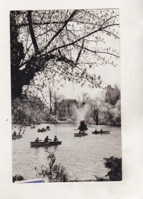 bnk cp Bucuresti - Gradina Cismigiu - uzata foto