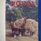 REVISTA : THE ROYAL ( UNITED KINGDOM ) * SEPTEMBRIE - 1907 *
