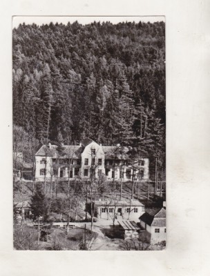 bnk cp Bazna - Vedere - circulata foto