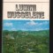 (C7928) LUMINI MUSCELENE DE DUMITRU BACIU