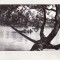 bnk cp Campina - Lacul - uzata