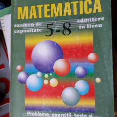 MATEMATICA PROBLEME EXERCITII TESTE SI SUBIECTE CU SOLUTII COMPLETE DANCILA