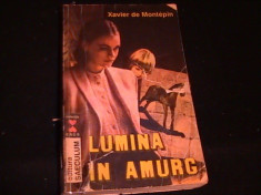 LUMINA IN AMURG-XAVIER DE MONTEPIN-286 PG- foto