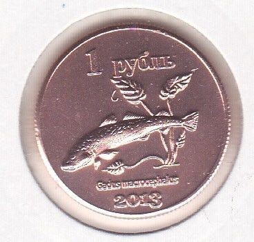 bnk mnd Insulele Kurile 1 rubla 2013 unc, fauna