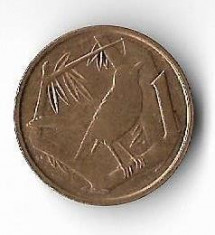 Moneda 1 cent 2008 - Cayman foto