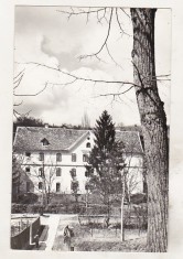 bnk cp Bazna - Vedere - circulata