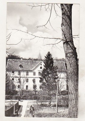 bnk cp Bazna - Vedere - circulata foto