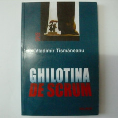 Ghilotina de scrum - Vladimir Tismaneanu