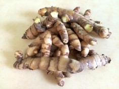 Turmeric alb (Curcuma zedoaria) - 100g foto