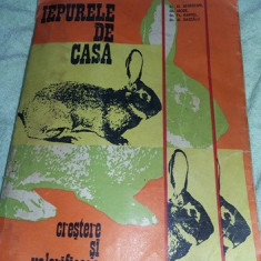 carte IEPURELE DE CASA-Crestere si valorificare 1974,stare vintage,T. GRATUIT