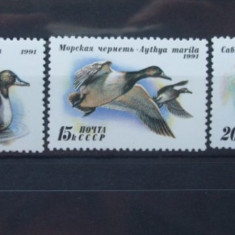 Rusia 1991 - RATE SI GASTE SALBATICE, serie MNH, R6