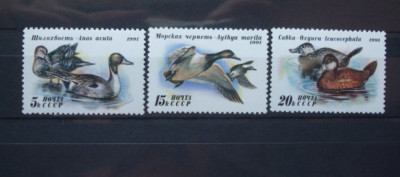 Rusia 1991 - RATE SI GASTE SALBATICE, serie MNH, R6 foto