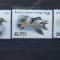 Rusia 1991 - RATE SI GASTE SALBATICE, serie MNH, R6