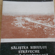 SALISTEA SIBIULUI STRAVECHE - VATRA ROMANEASCA - 1990