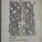 ION TH. ILEA-POEZII,1931-1968(ed bibliofila A4/desene EUGEN DRAGUTESCU/autograf)