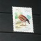 BRAZILIA 1991 &ndash; PASARE GASCA ORINOCO, timbru nestampilat, R10