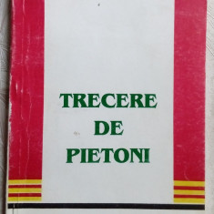 MONICA MURESAN - TRECERE DE PIETONI (VERSURI, PITESTI 1996) [dedicatie/autograf]