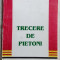 MONICA MURESAN - TRECERE DE PIETONI (VERSURI, PITESTI 1996) [dedicatie/autograf]
