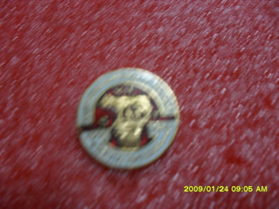 Insigna aniversara Soc. numismatica Timisoara foto